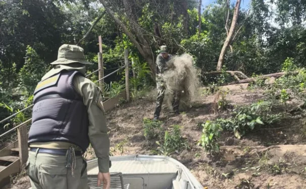 O Naturatins concluiu uma operação de fiscalização intensiva voltada ao cumprimento das normas que regulamentam a pesca no Estado - Foto: Naturatins/Governo do Tocantins