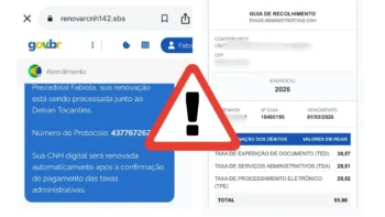 O site falso se assemelha ao site Gov.br, confundindo a vítima, passando a impressão de que ela está em um site oficial - Foto: Montagem Ascom Detran/TO