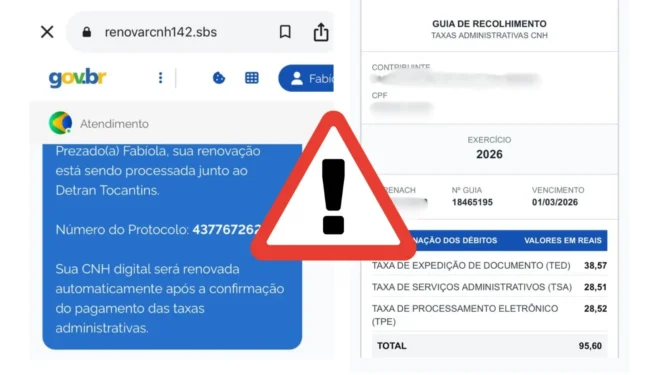 O site falso se assemelha ao site Gov.br, confundindo a vítima, passando a impressão de que ela está em um site oficial - Foto: Montagem Ascom Detran/TO