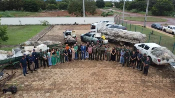 Governo do Tocantins divulgou o balanço final com os resultados da Operação Piracema 2025/2026 - Foto: BPMA/Governo do Tocantins