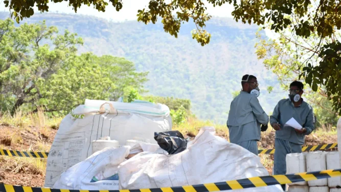 O Recebimento Itinerante atende exclusivamente pequenos e médios produtores rurais. Foto - Majuh Souza / Governo do Tocantins