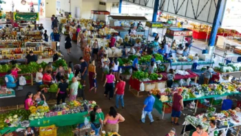 Na ocasião serão mapeados os espaços ocupados e possíveis áreas ociosas - Foto Regiane Rocha