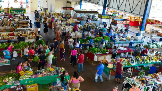 Na ocasião serão mapeados os espaços ocupados e possíveis áreas ociosas - Foto Regiane Rocha