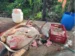 Abate clandestino é ilegal: ação da Adapec apreende carne irregular e interdita local após denúncia.
