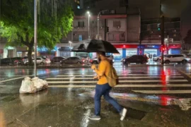 William Cardoso/Metrópoles