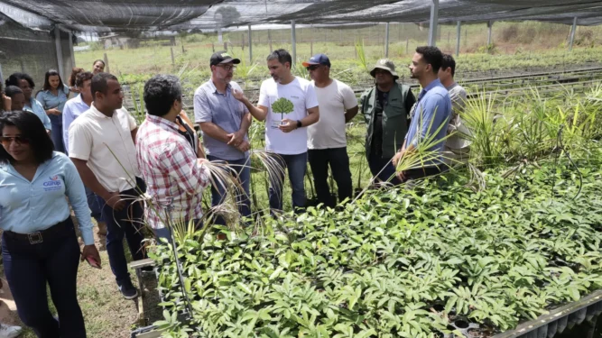 Visita ao Centro de Recuperação de Área Degradada de Gurupi, responsável pela produção de mudas utilizadas na revitalização das nascentes.Marcel de Paula/Governo do Tocantins