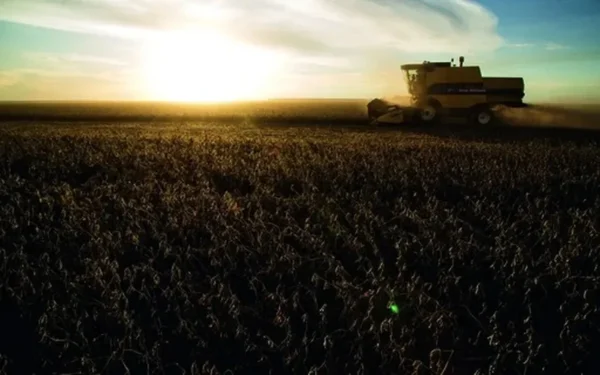 Desempenho foi puxado principalmente pela produção de grãos — Foto: Globo Rural