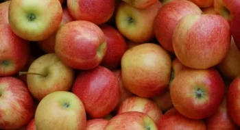 Com os preços da maçã nacional reduzindo, o mercado das exportações pode se tornar mais atrativo — Foto: Getty Images/Canva
