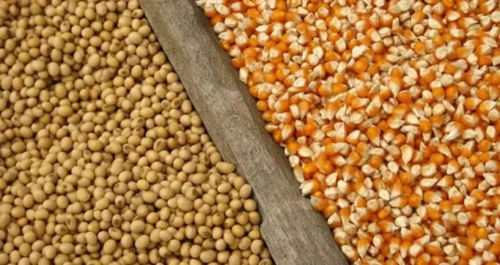 Aumentos nos preços do petróleo com a guerra no Oriente Médio eleva as cotações dos grãos — Foto: iStock/Mapa