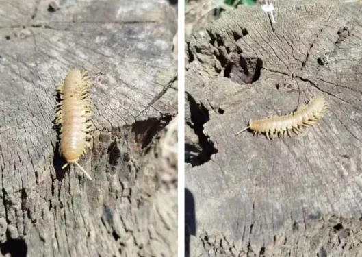 Foto: Arquivo pessoal