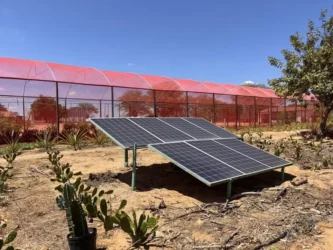 Foto: Divulgação/ASA