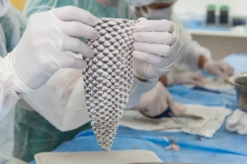 Divulgação/Viktor Braga/UFC