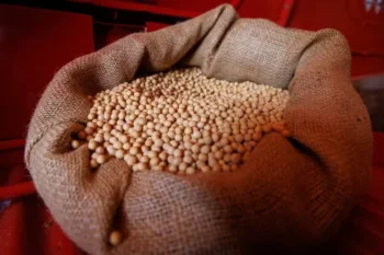 Preços da soja têm comportamentos distintos a depender da região do Brasil — Foto: Fredy Vieira/Globo Rural