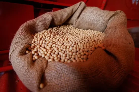 Preços da soja têm comportamentos distintos a depender da região do Brasil — Foto: Fredy Vieira/Globo Rural