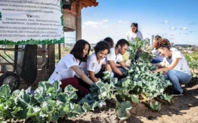 Foto: Divulgação/Instituto Federal de Goiás (IFG)