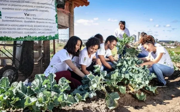 Foto: Divulgação/Instituto Federal de Goiás (IFG)