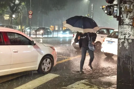 William Cardoso/Metrópoles