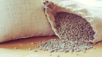 Atualmente, cerca de 600 dos quase 3,8 mil associados da Capal são cafeicultores — Foto: David Joyce/CCommons