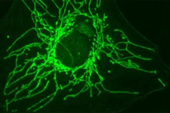 Jean-Claude Martinou/UNIGE