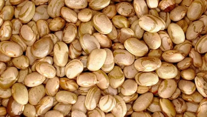 Foto: Ricardo Tobaldini / Flickr