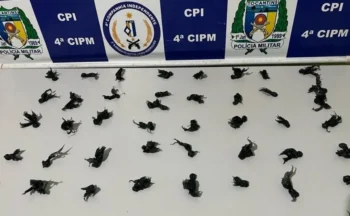 Foto: Ascom 4ª CIPM