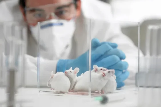 Adam Gault/Gettyimages