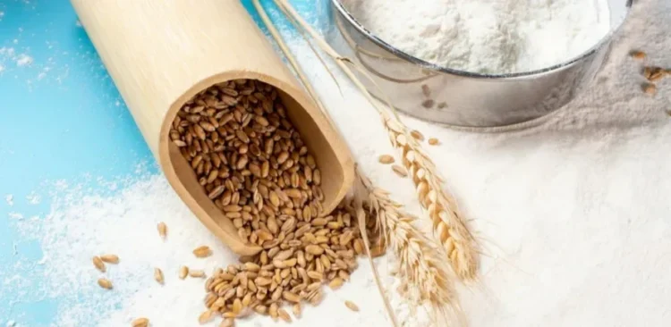 Foto: Canva/ Creative Commoms