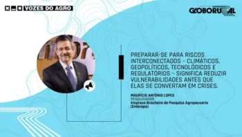 — Foto: Globo Rural