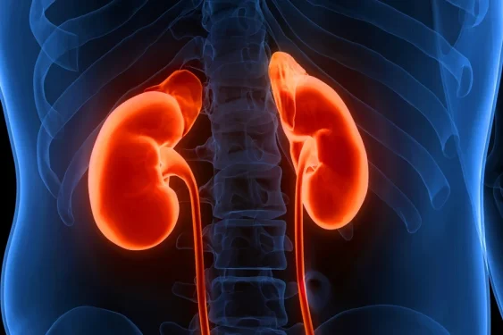 magicmine/Getty Images