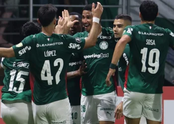 Cesar Greco/Palmeiras