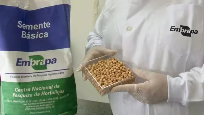 Programa envolve o cultivo de alimentos em ambientes fechados que podem ser instalados na Lua — Foto: Divulgação