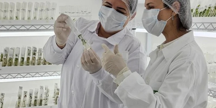 Embrapa/ reprodução