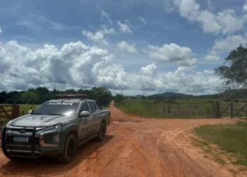 Indivíduo foi localizado na zona rural de Bandeirantes, norte do TO - Foto: Ascom PMTO