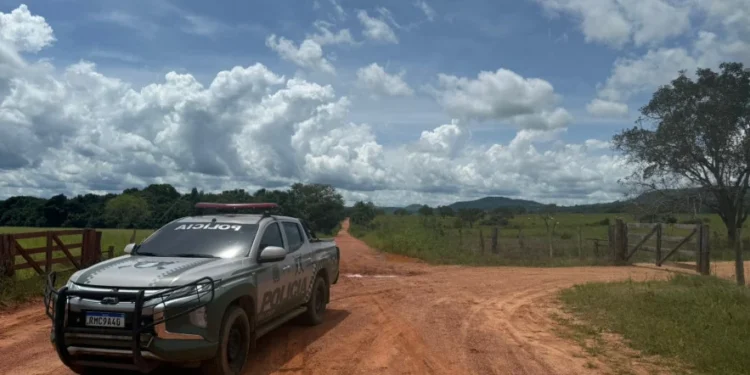 Indivíduo foi localizado na zona rural de Bandeirantes, norte do TO - Foto: Ascom PMTO