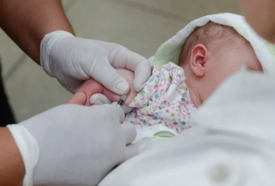 Foto: divulgação Semus