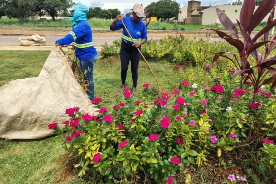 Foto: Divulgação Zeladoria Urbana