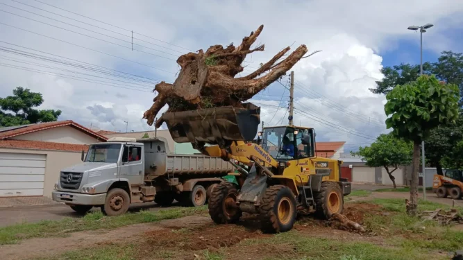 Foto: Divulgação Zeladoria