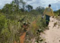 Foram iniciadas as queimas prescritas e a construção de aceiros, que são fundamentais para a prevenção de incêndios nas UCs - Foto: Divulgação/Naturatins