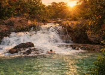 Arlete Carvalho/Abrajet Tocantins