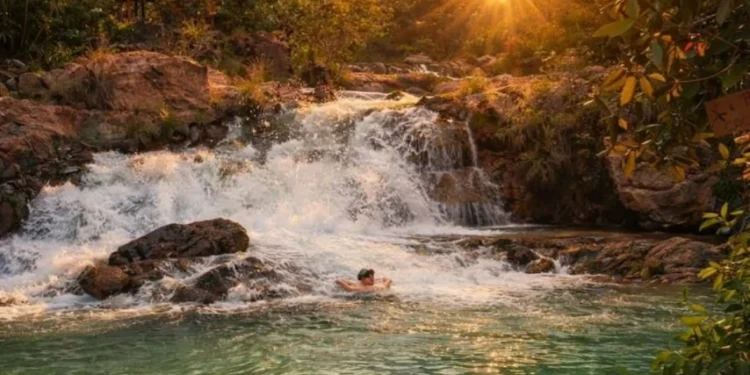 Arlete Carvalho/Abrajet Tocantins