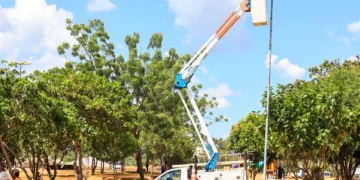 Fotos: Regiane Rocha