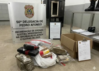 Mais de 10kg de drogas foram destruídos pela PCTO em Pedro Afonso. Crédito - PCTO