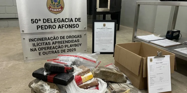 Mais de 10kg de drogas foram destruídos pela PCTO em Pedro Afonso. Crédito - PCTO