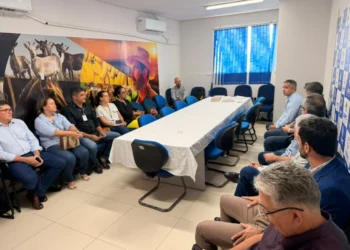 Equipes técnicas da Adapec e Embrapa promoveram o encontro para definirem um plano de ação que amplie a parceria entre as duas instituições na defesa agropecuária animal e vegetal. Foto - Cristânia Barbosa / Governo do Tocantins