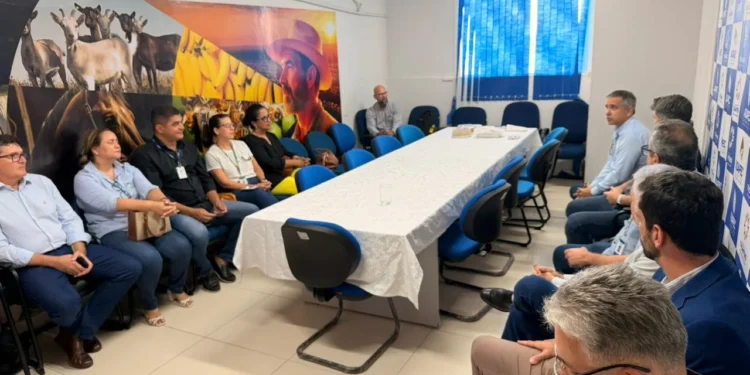 Equipes técnicas da Adapec e Embrapa promoveram o encontro para definirem um plano de ação que amplie a parceria entre as duas instituições na defesa agropecuária animal e vegetal. Foto - Cristânia Barbosa / Governo do Tocantins