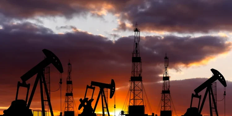 Anton Petrus/ Getty Images