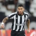 Vítor Silva/Botafogo