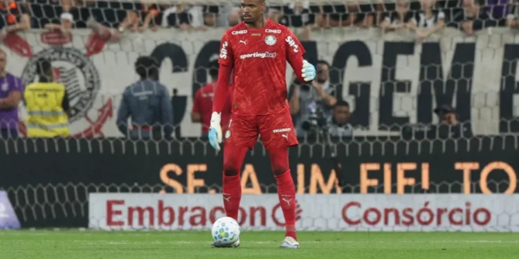 Cesar Greco/Palmeiras