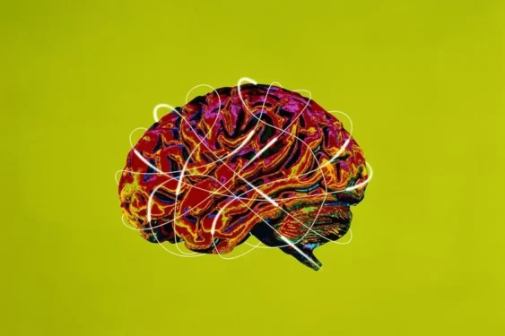 John Lund/Getty Images