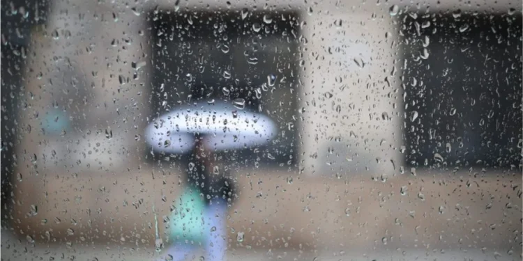 Divulgação/Governo de SP